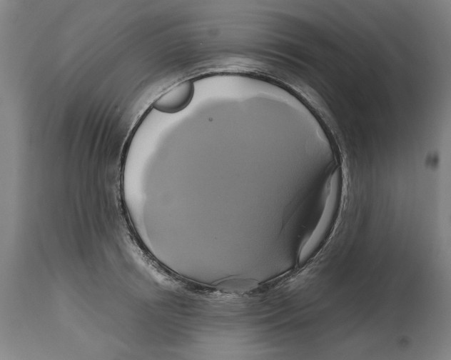 X0000114700850200911181315