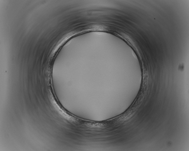 X0000114700851200911181315