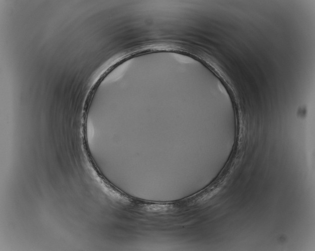 X0000114700853200911181315