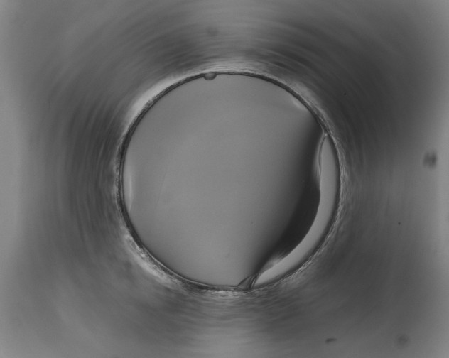 X0000114700854200911181315