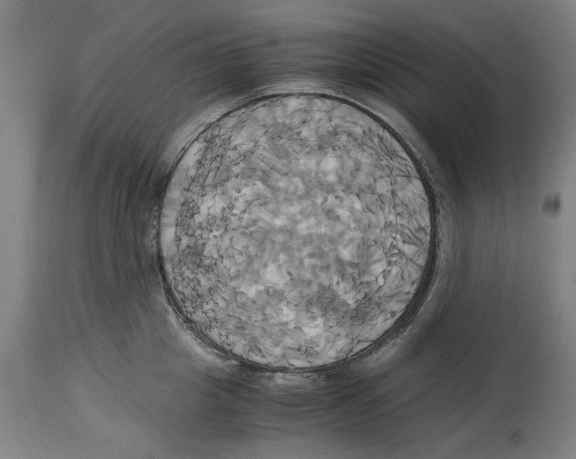 X0000114700857200911181315