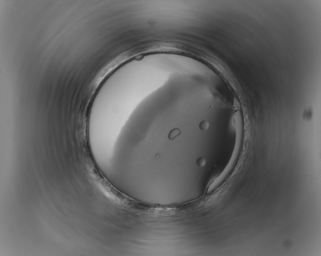 X0000114700858200911181315