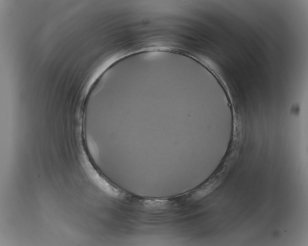 X0000114700859200911181315