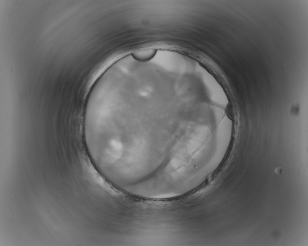 X0000114700860200911181315