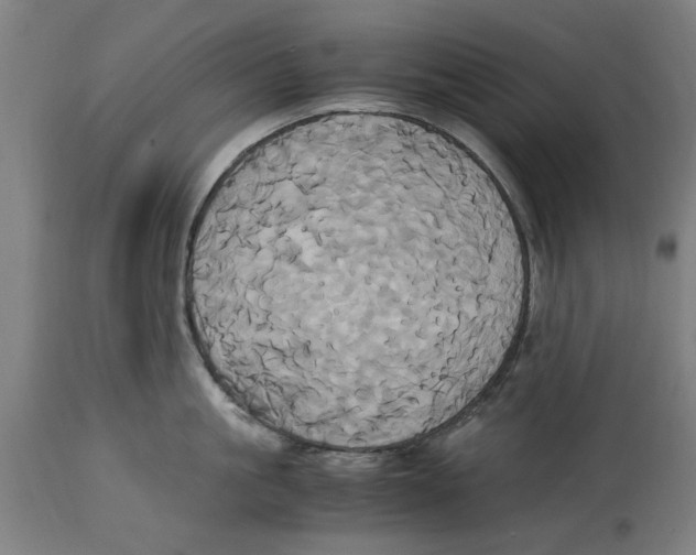 X0000114700861200911181315