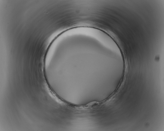 X0000114700862200911181315