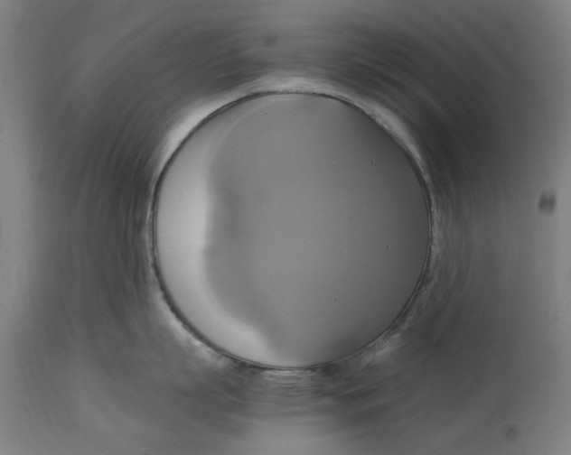 X0000114700863200911181315