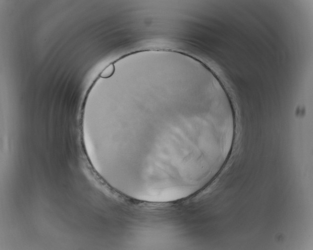 X0000114700864200911181315