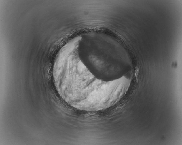 X0000114700867200911181314