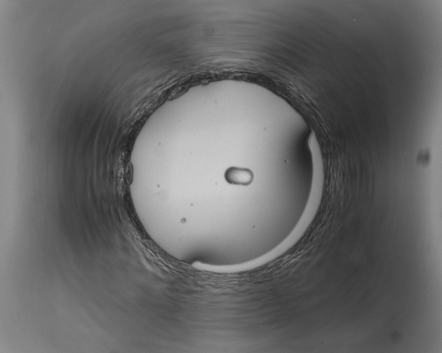 X0000114700868200911181314