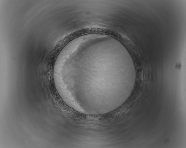 X0000114700870200911181314