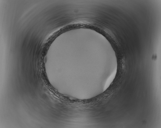 X0000114700872200911181314