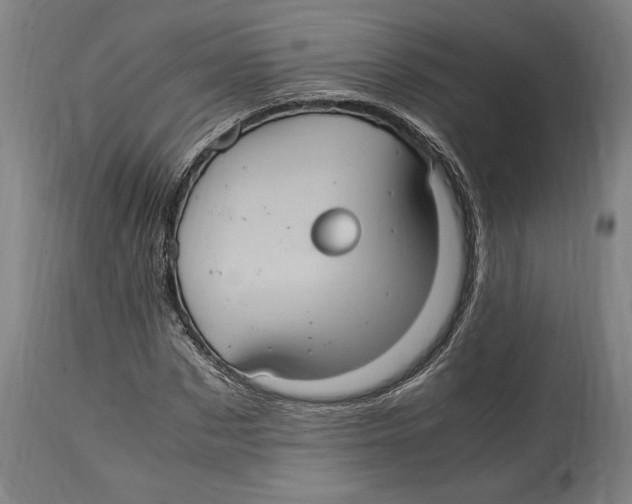 X0000114700873200911181314