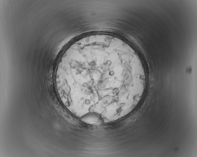 X0000114700875200911181314