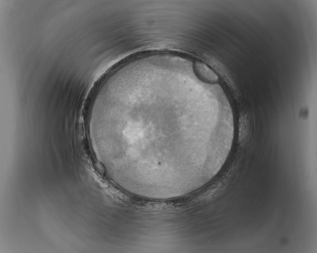 X0000114700876200911181314