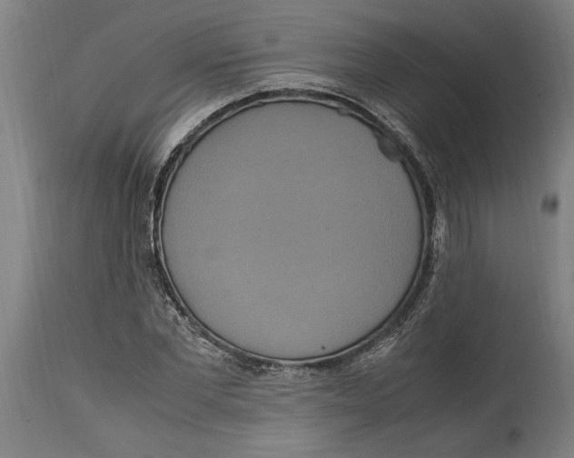 X0000114700877200911181314