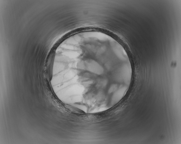 X0000114700879200911181314