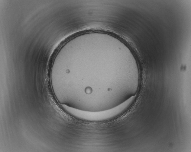 X0000114700880200911181314