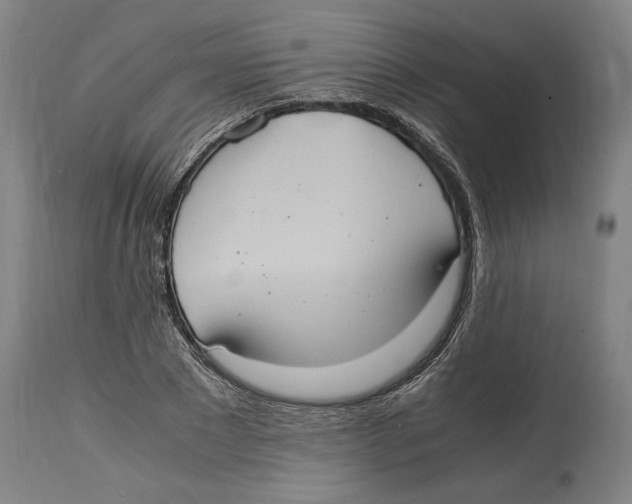 X0000114700881200911181314