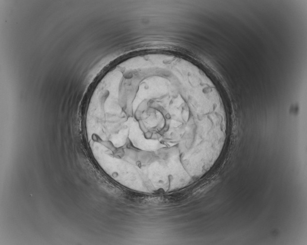 X0000114700883200911181314