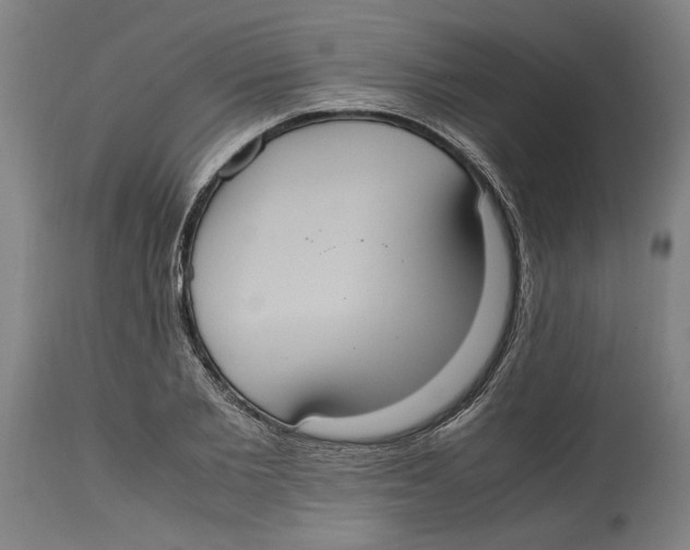 X0000114700885200911181314