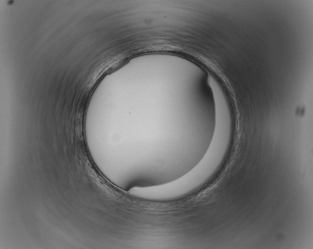 X0000114700889200911181314