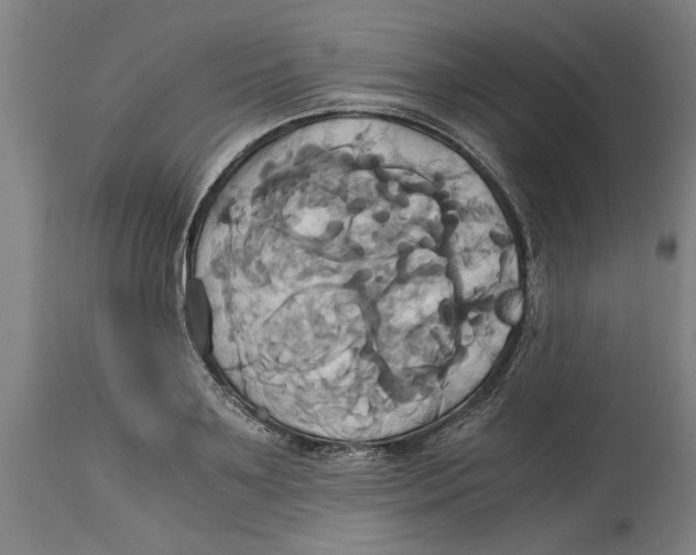 X0000114700891200911181314