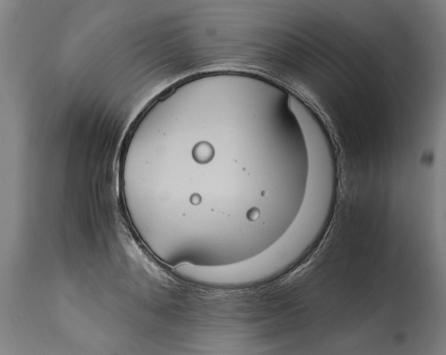 X0000114700892200911181314