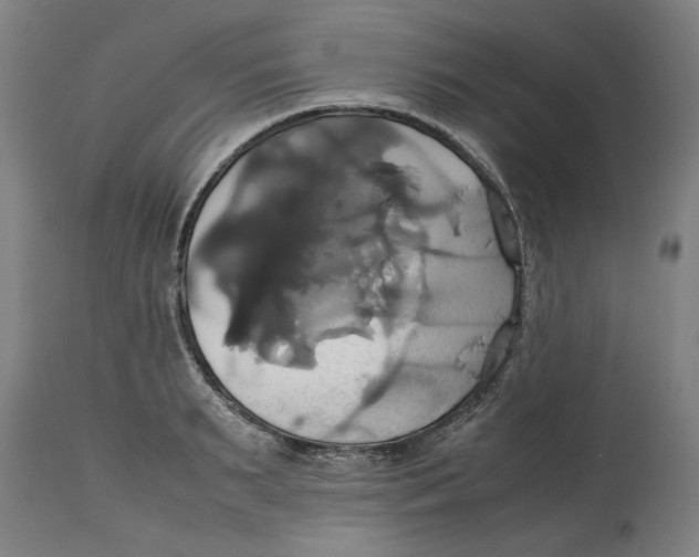 X0000114700895200911181314