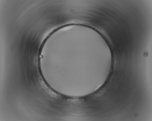 X0000114700896200911181314