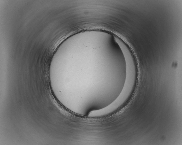 X0000114700897200911181314