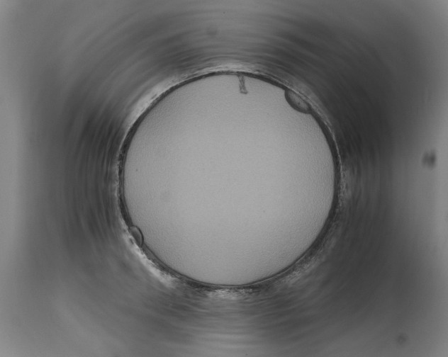 X0000114700898200911181314