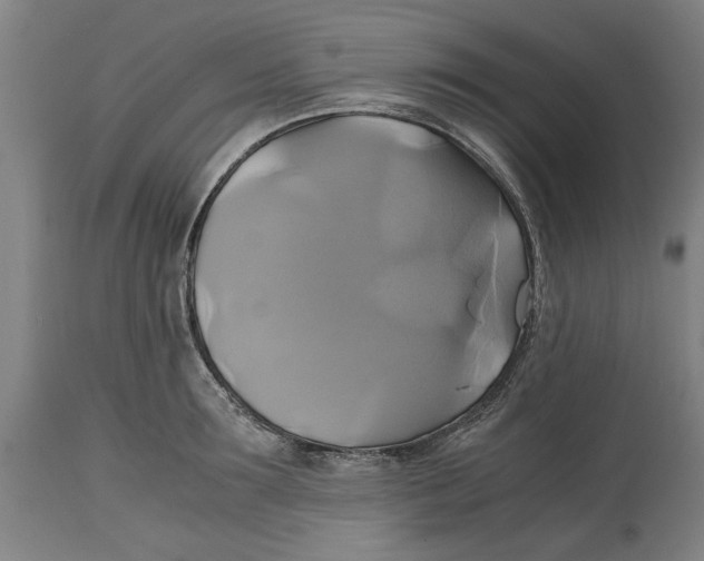 X0000114700899200911181314