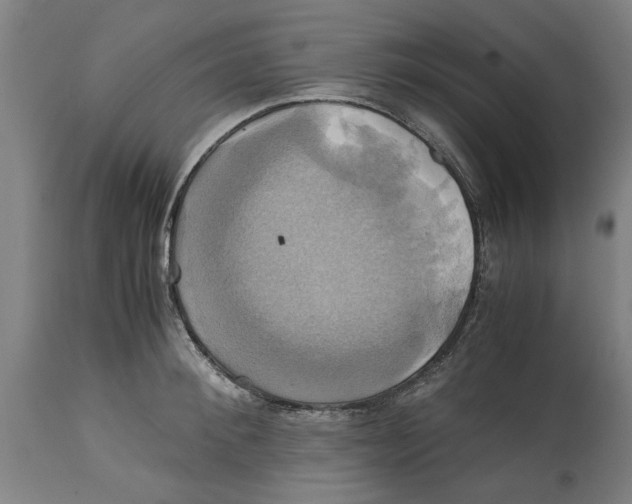 X0000114700900200911181314