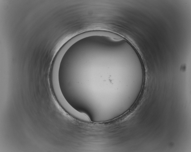 X0000114700901200911181314