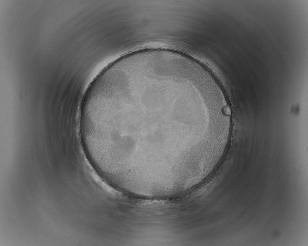 X0000114700902200911181314