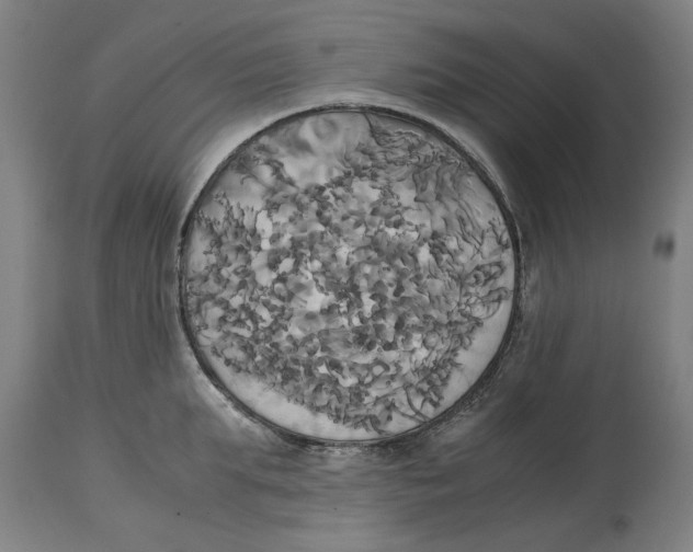 X0000114700903200911181314