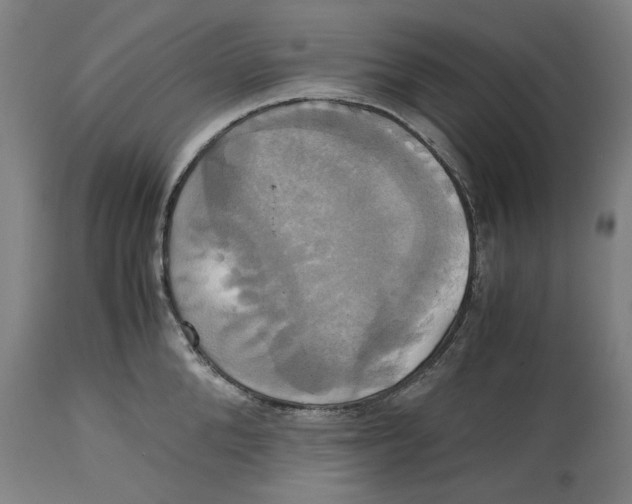 X0000114700904200911181314