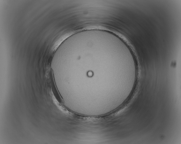 X0000114700905200911181314