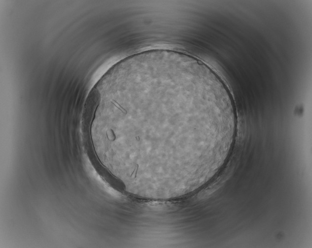 X0000114700906200911181314