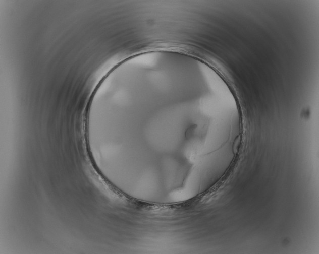 X0000114700907200911181314