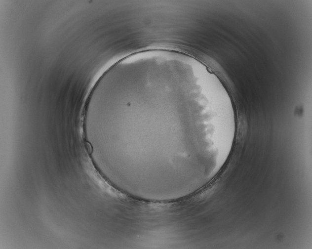 X0000114700908200911181314