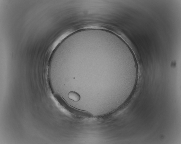 X0000114700909200911181314