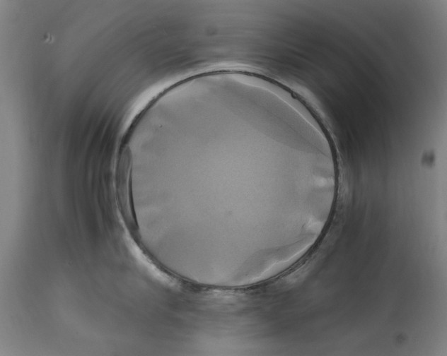 X0000114700910200911181314