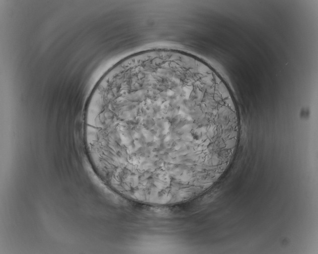 X0000114700911200911181314