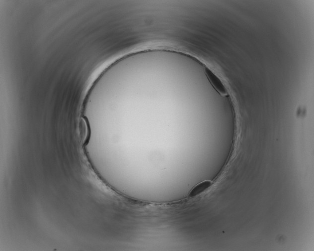 X0000114700912200911181314