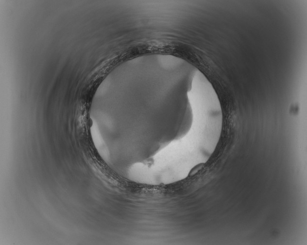 X0000114700914200911181313