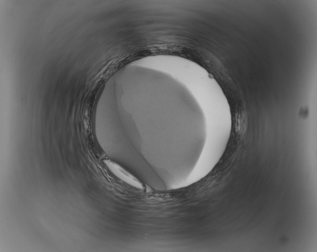 X0000114700915200911181313