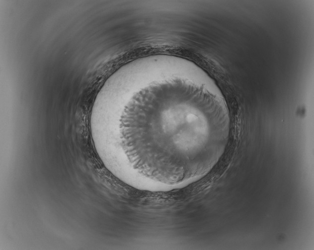 X0000114700917200911181313