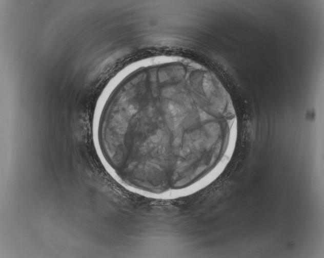 X0000114700918200911181313